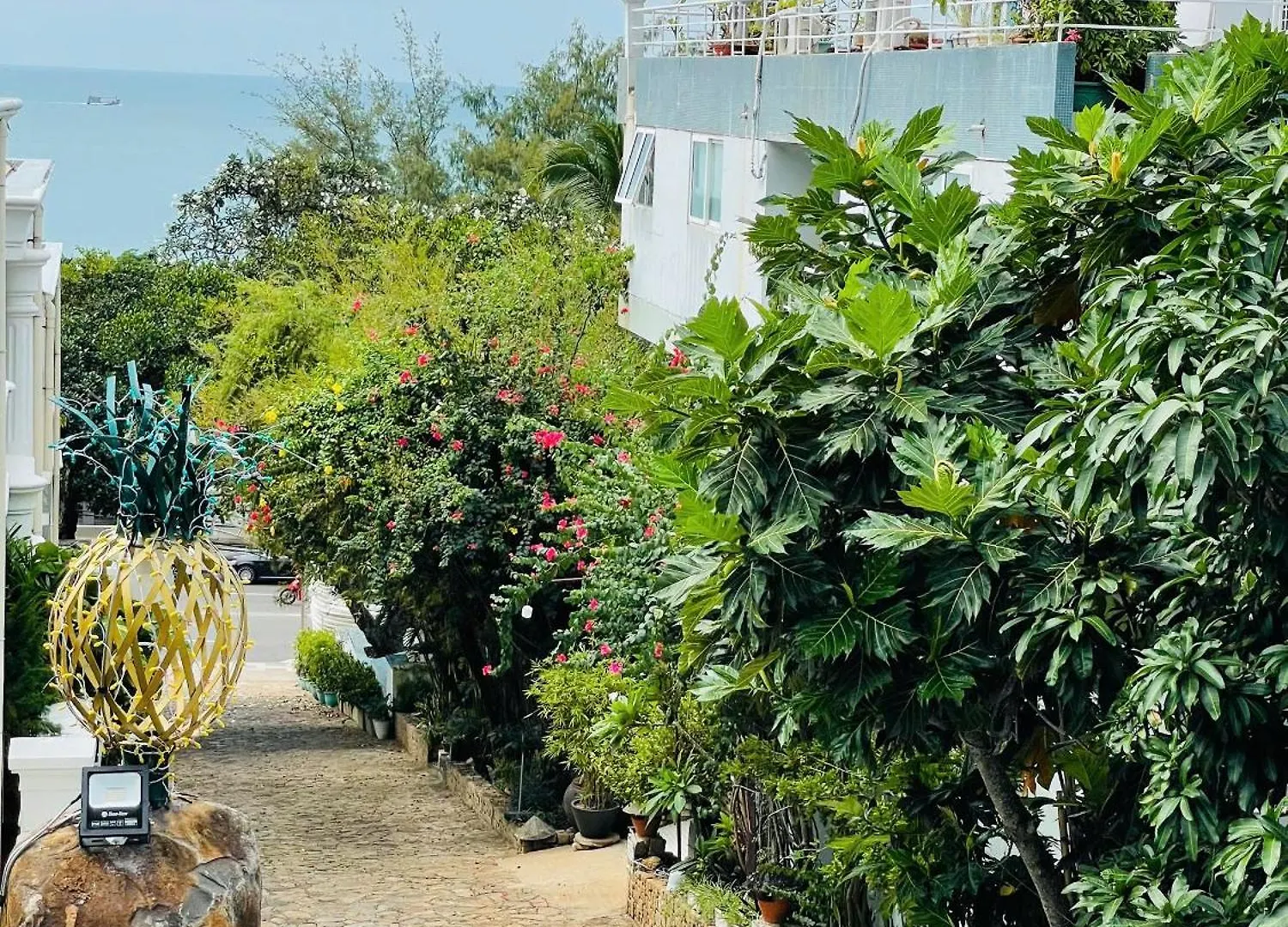 Ananas Beach Hotel Vũng Tàu 0*,